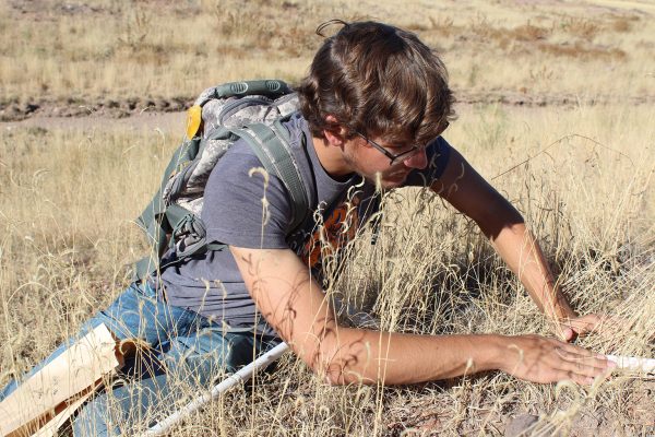 Range and Wildlife Sciences