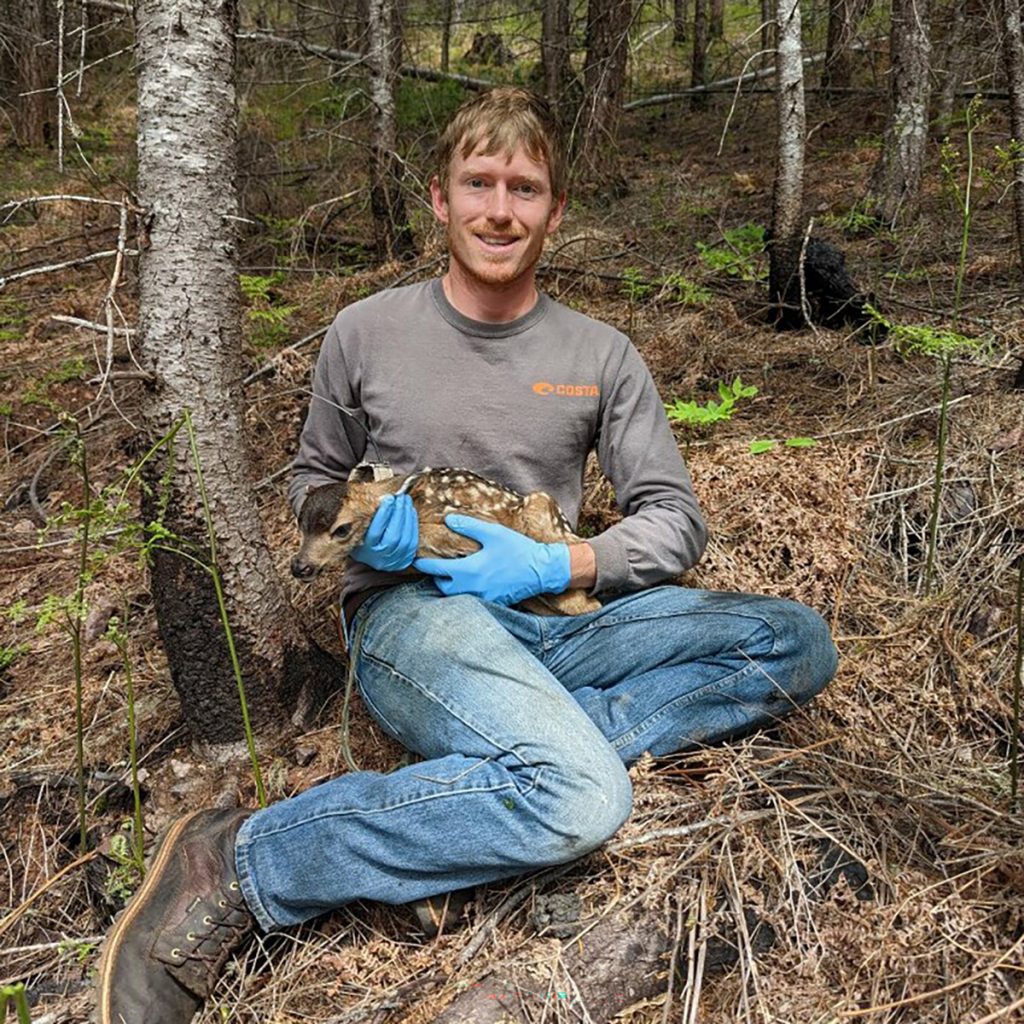 Student holding a fawn