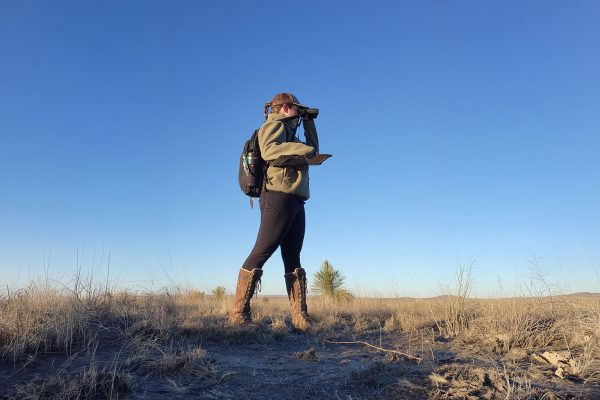 Master of Science in Environmental Sciences