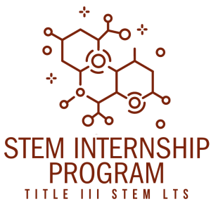 Stem Logo